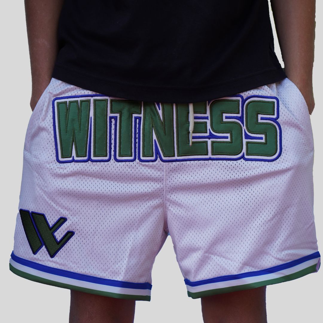 Skyline basketball shorts